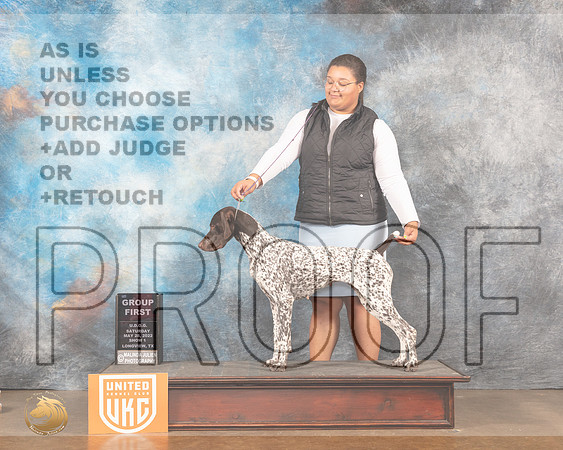 German Shorthaired Pointer #218 Sat1 G1 Judge Sonia YearwoodMMJ_5743_Lngvw2022HR3