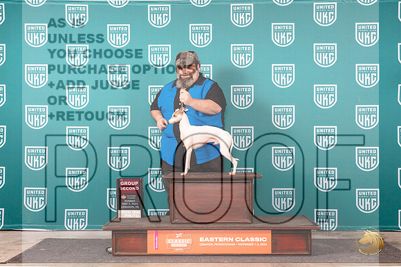 Italian Greyhound #269 Sun G2 Judge Keith Kozaklewicz__JP_2299_UKCEastern_2024_HR3