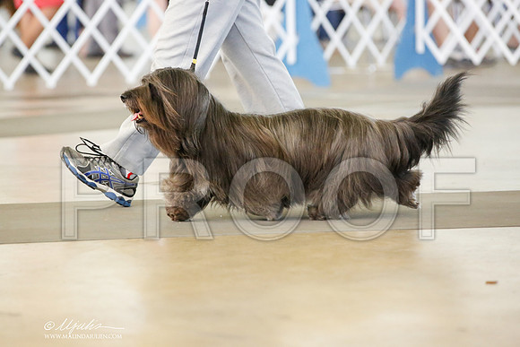 _JN_6659-DalJul2014-HR3