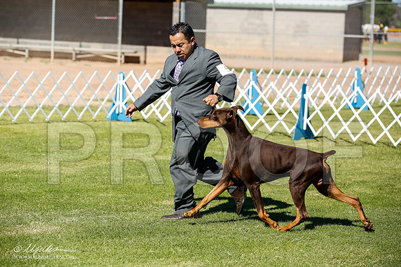 _JN_5969-AlamogordoOct2014-HR3