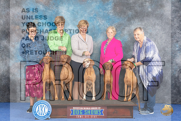 CUSTOM Vizsla Family WED__JP_7556_Houston_2024_HR3