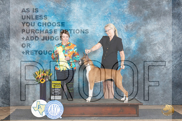 Boxer #12 Fri G3 Judge Sandra Walker__JP_9519_Abilene_2024_HR3