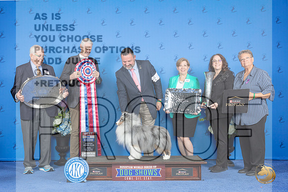 Shetland Sheepdog #23 FRI BIS Judge Jon Cole__JP_9610_Houston_2024_HR3