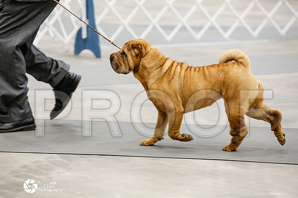 _HR_2047-AblnMay2014-web