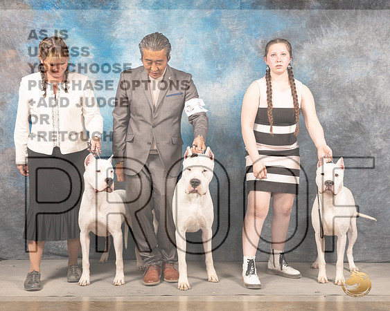 Dogo Argentino #8 Sat FamilyMMJ_4598_Mdlnd2022_HR3
