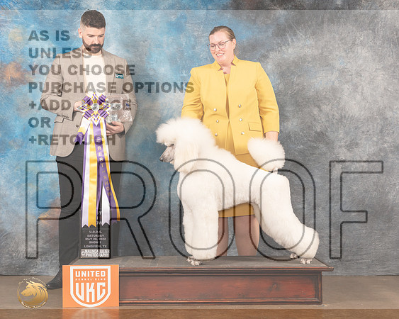Poodle Std #181 Sat2 BIS Judge Kevin Izard-CarrollMMJ_5770_Lngvw2022HR3