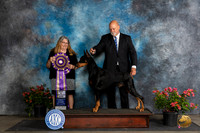 Doberman PInscher #19 Sat BISS Judge Bridget Brownn