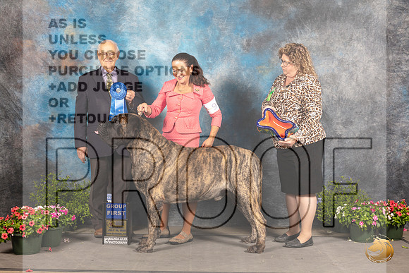 Mastiff #9 Sat G1 Judge Robert Shreve_MJ_0674_SA_2022_HR3