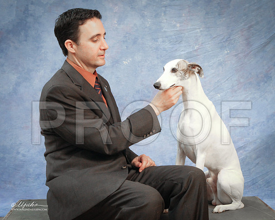 wpSat-8424 web