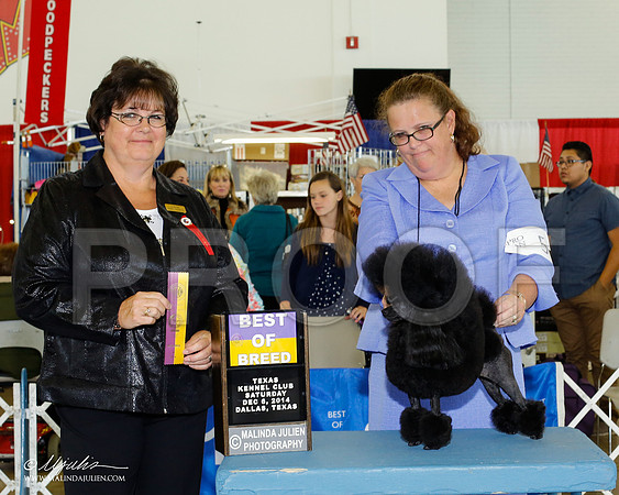 _RH_7912-2-DallasDec2014-HR3