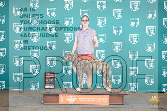Silken Windhound #431 Sun BOW BOB Judge Matt Proctor__JP_1694_Longview WA_2024_HR3