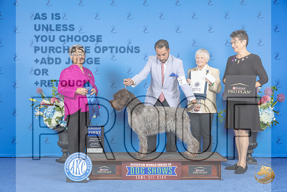 Wirehaired Pointing Griffon #8 SAT G1 Judge Sandra Lex__JP_0003_Houston_2024_HR3