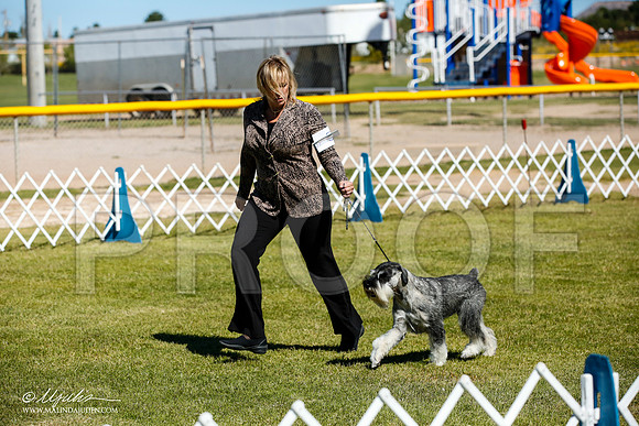 _JJ_0219-AlamogordoOct2014-HR3