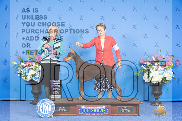 Doberman #44 SUN WB Judge Annella Cooper_JP_0057e_Houston_2024-HR3