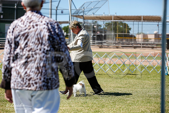 _JN_5061-AlamogordoOct2014-HR3