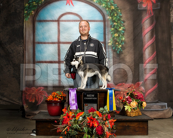 _ST_7109-NrmnNov2014-HR3