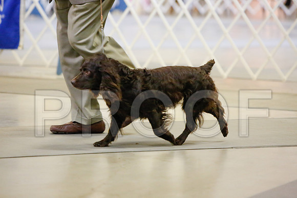 _JJ_2508-AmarilloSept2014-HR3