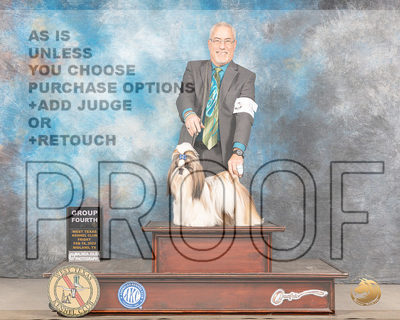 Shih Tzu #9 Sun G4 Judge Jim FehringMMJ_5745_Mdlnd2022_HR3