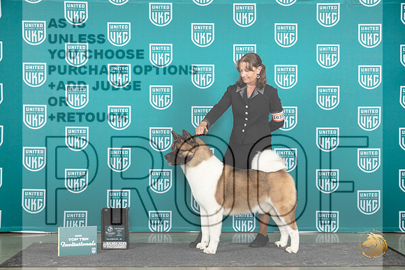 Akita #1035 Thur #1035 Thur SemiF Judge Sharon Griffin__JP_1119_Premier_2024_HR3