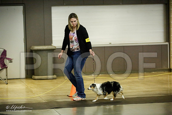 _JJ_6935-BeltonJan2015IABCA-HR3