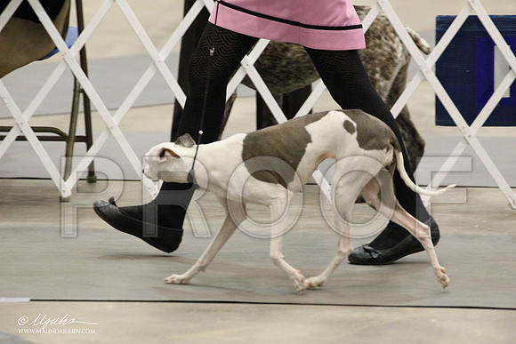 IMG_7612-Abilene2011-HR3