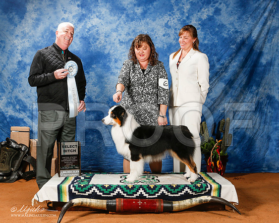 _ST_0673-2-GlenRoseJan2015-HR3