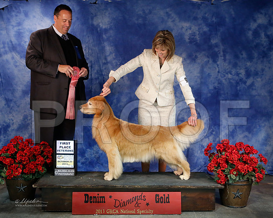 Vet-6278-WFOct2013-HR