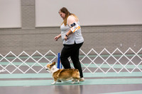 Pembroke Welsh Corgi Rings Fri Ring 1