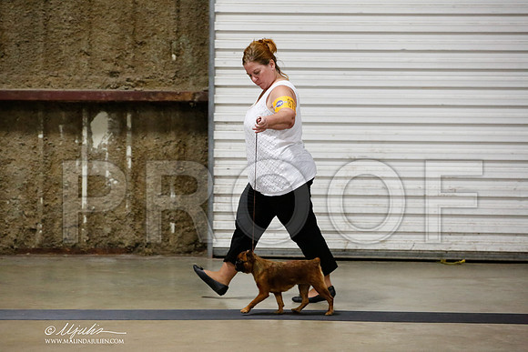 _HR_4029-CnroeJul2014-HR3