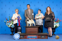 Pug #5 SUN RBIS Judge Sandra Lex