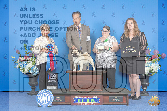 Pug #5 SUN RBIS Judge Sandra Lex__JP_0954_Houston_2024_HR3