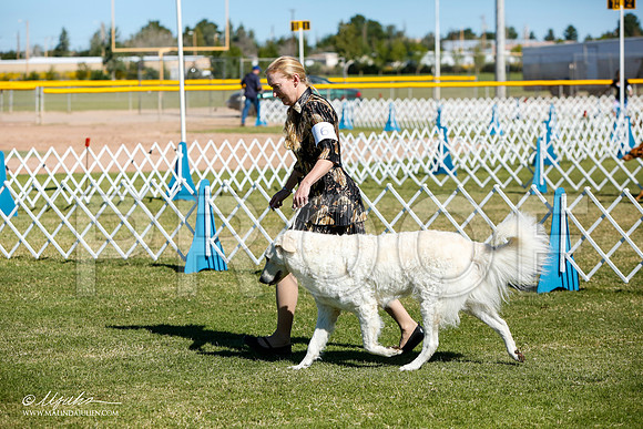 _JJ_4537-AlamogordoOct2014-HR3