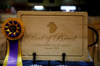 Australian Shepherd Specialty Awards Table