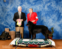 Belgian Sheepdog #19 Fri Best Vet  +A1