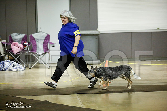 _JJ_7029-BeltonJan2015IABCA-HR3