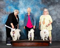 Irene Haefner UKC Longview Oct 2024