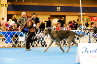 Hound Group Sat Ring