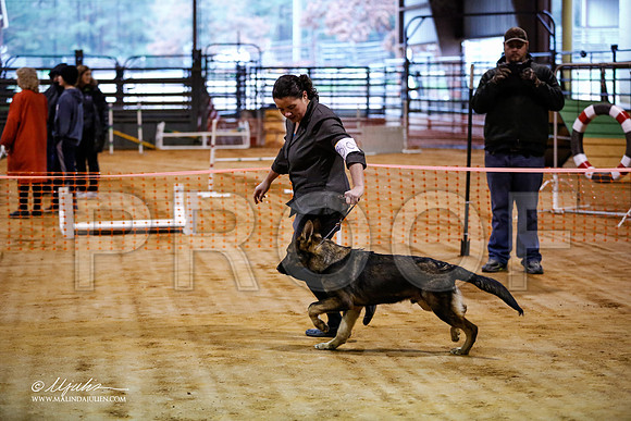 BISpup-3582-MrshllDec13-HR