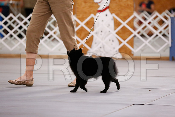 _RH_6275-CarlrolltonSept2014-HR3