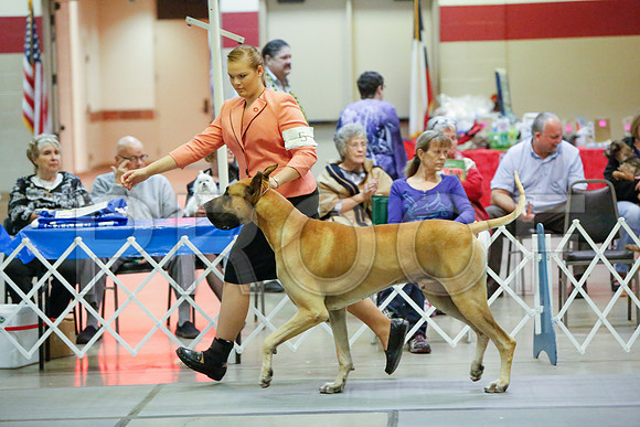 _JJ_5588-AmarilloSept2014-HR3