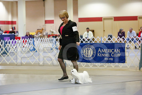 _JJ_1573-AmarilloSept2014-HR3