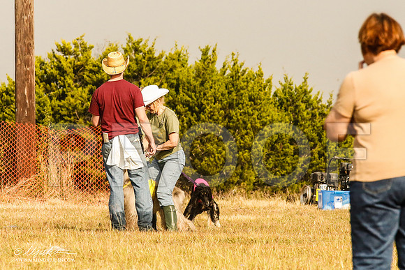 _MJ_3893-AfgBeltonOct2014-HR3
