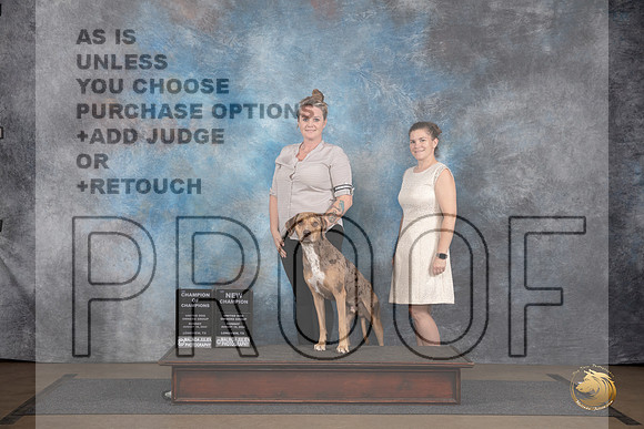 LCLD #472 Sun Ch of Ch NGCh Judge Matthew Proctor__JP_3122_LongviewTX_2024_HR3