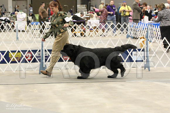 IMG_8724-Abilene2011-HR3