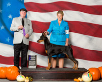Doberman Pinschers #24 Sat WB Lyon Towanda Judge Mr R C Williams