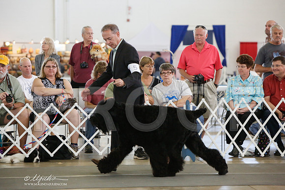 _JJ_1801-DallasJul2014-HR3