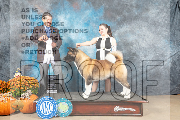 Akita #6 Sat G4 Judge Lloyd Graser_MJ_5867_Belton_2022_HR3