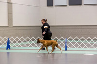 Angie Sanchez UKC Longview Oct 2024