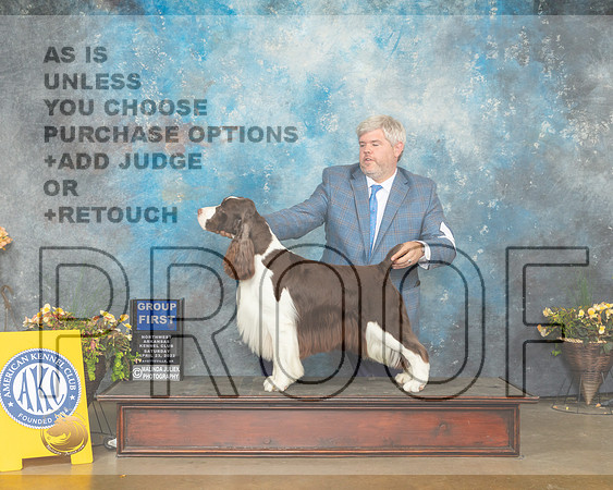 English Springer Spaniel #9 Sun G1 Judge Jim Fehring-MMJ_1765-NWARK2022-HR3