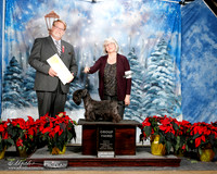 Csesky Terrier #6 Sun G3 Fletcher Nick & Doreen Judge Harold Tatro III